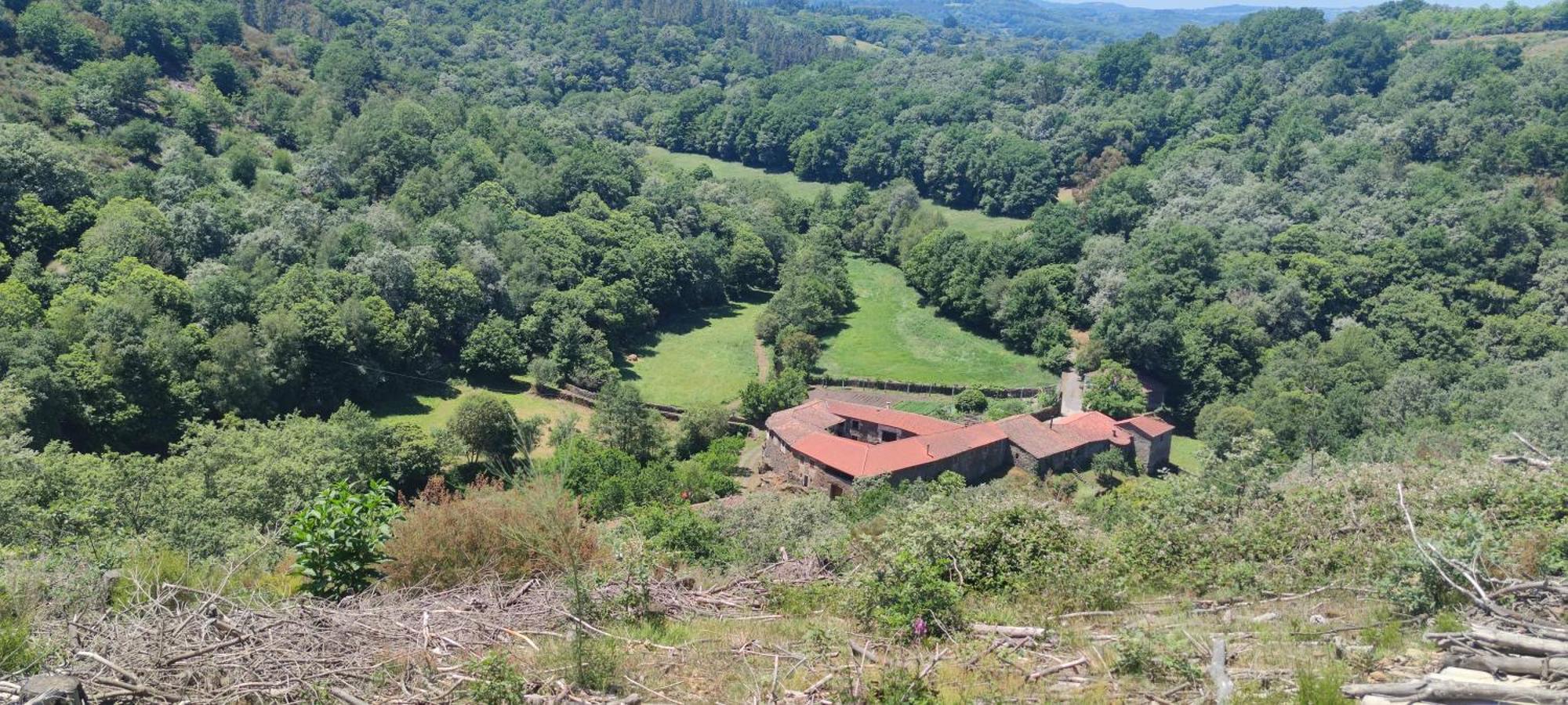 Casa Grande De Covas-Apartamentos Turisticos Taboada Dış mekan fotoğraf