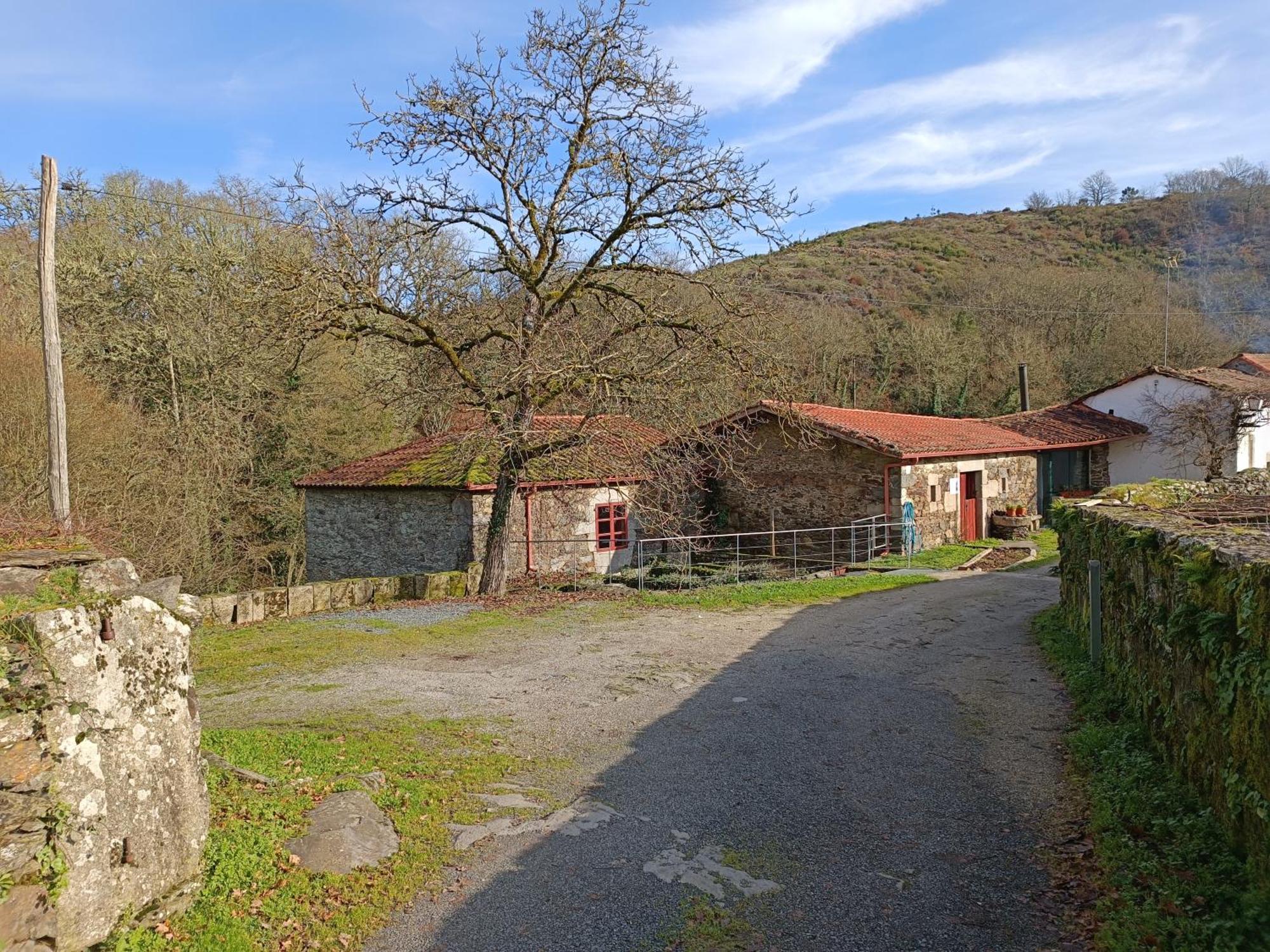 Casa Grande De Covas-Apartamentos Turisticos Taboada Dış mekan fotoğraf