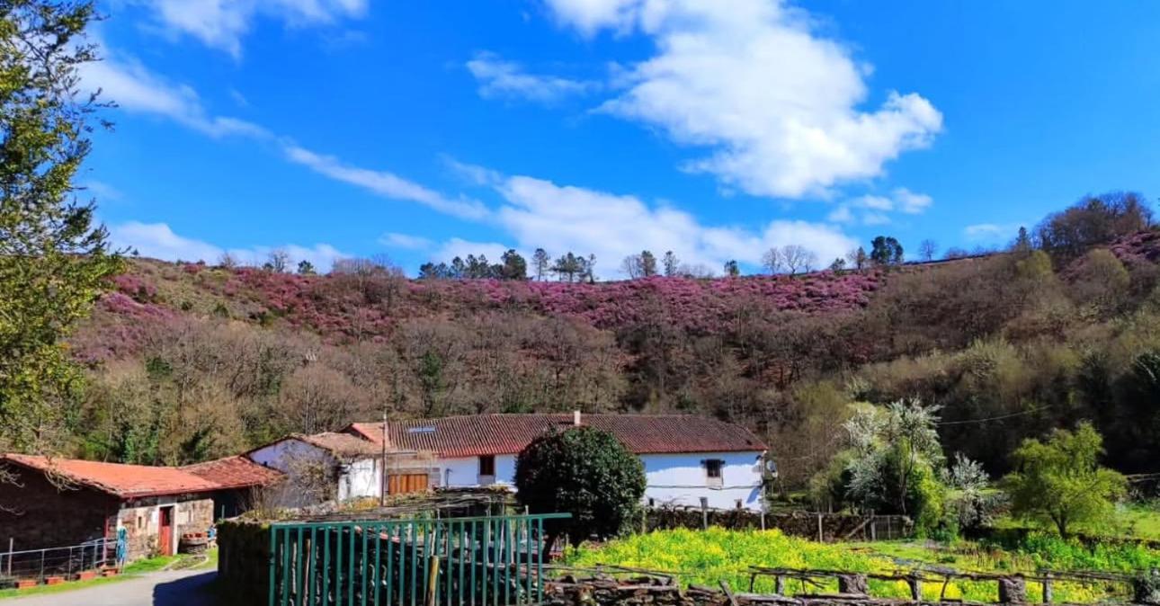Casa Grande De Covas-Apartamentos Turisticos Taboada Dış mekan fotoğraf