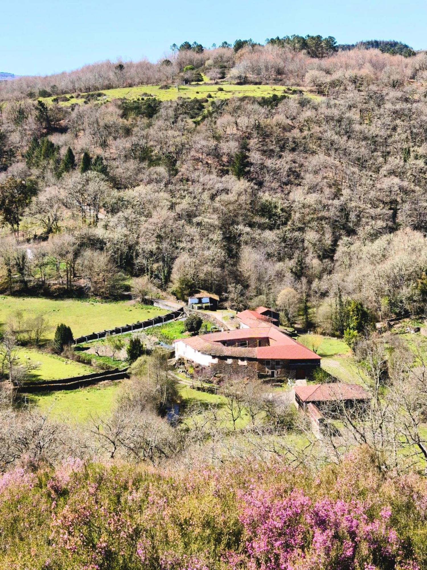 Casa Grande De Covas-Apartamentos Turisticos Taboada Dış mekan fotoğraf